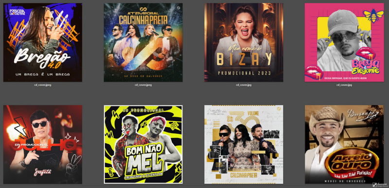 MP3-122 Forró da Pisadinha 4.37 Gb. 72 Albuns, 1522 musicas