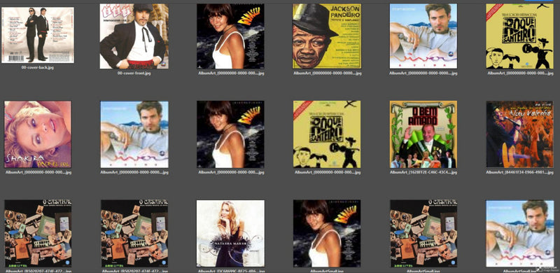 MP3 - 209 - NOVELAS 2010a2011 4.65 Gb, 59 Albuns, 1003 musicas