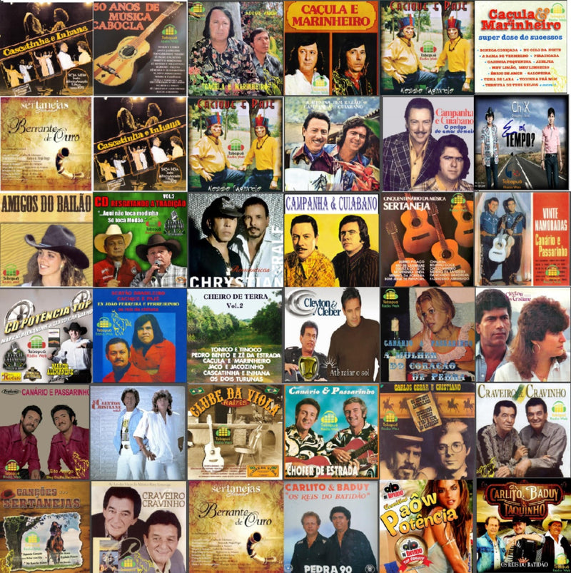 P22 - RAIZES SERTANEJAS - 4.20Gb C 74 Albuns, 1231 Musicas